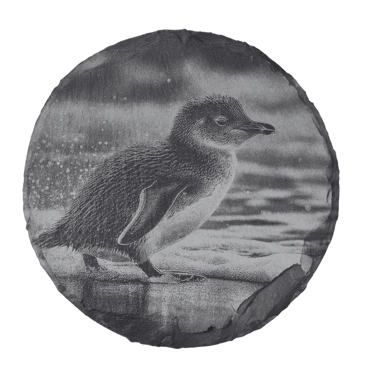 Australian Animal Coasters - Slate
