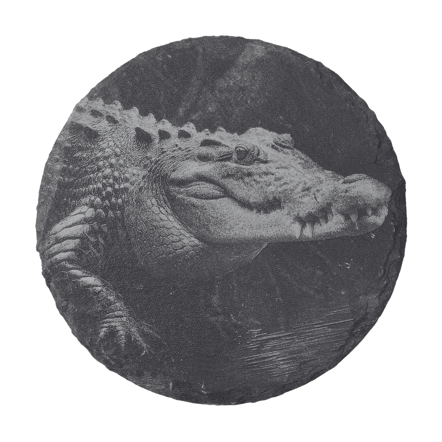 Australian Animal Coasters - Slate