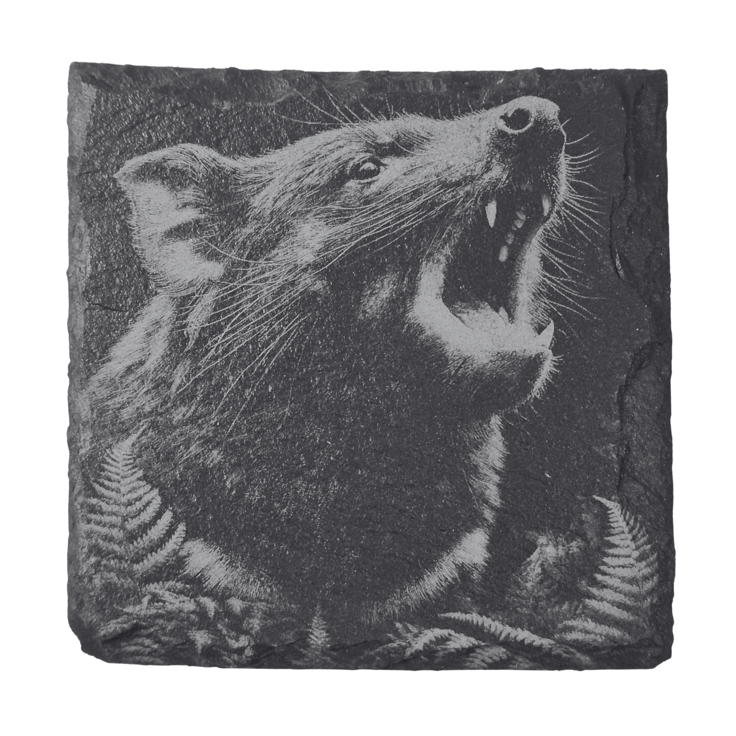Australian Animal Coasters - Slate