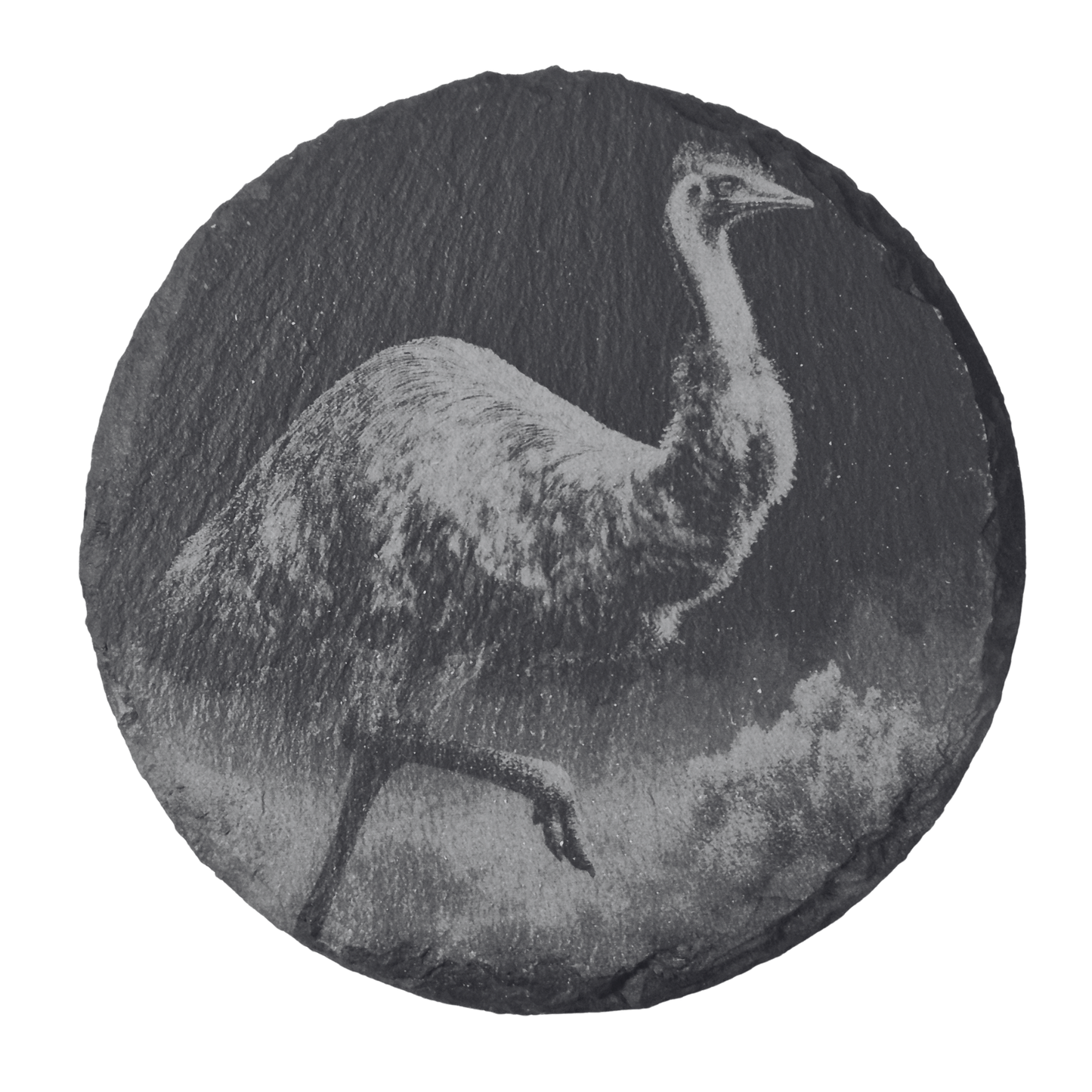 Australian Animal Coasters - Slate
