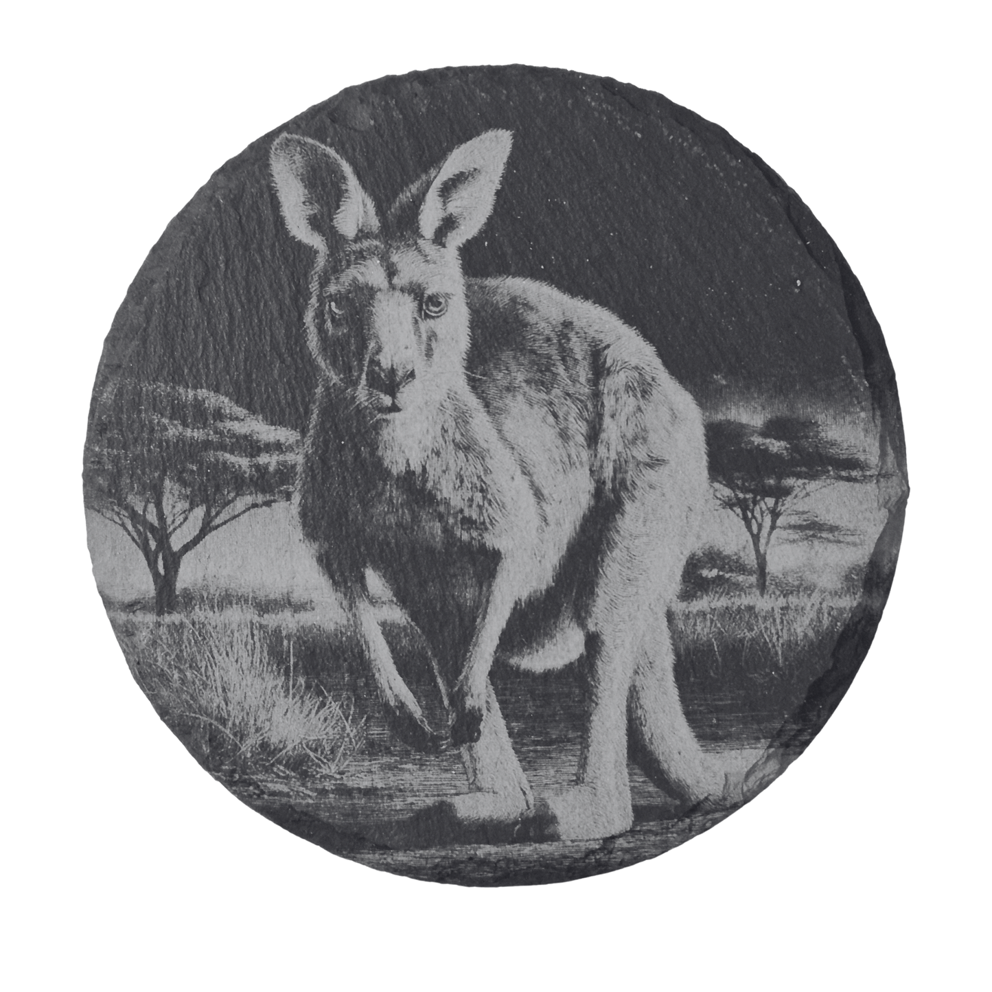 Australian Animal Coasters - Slate