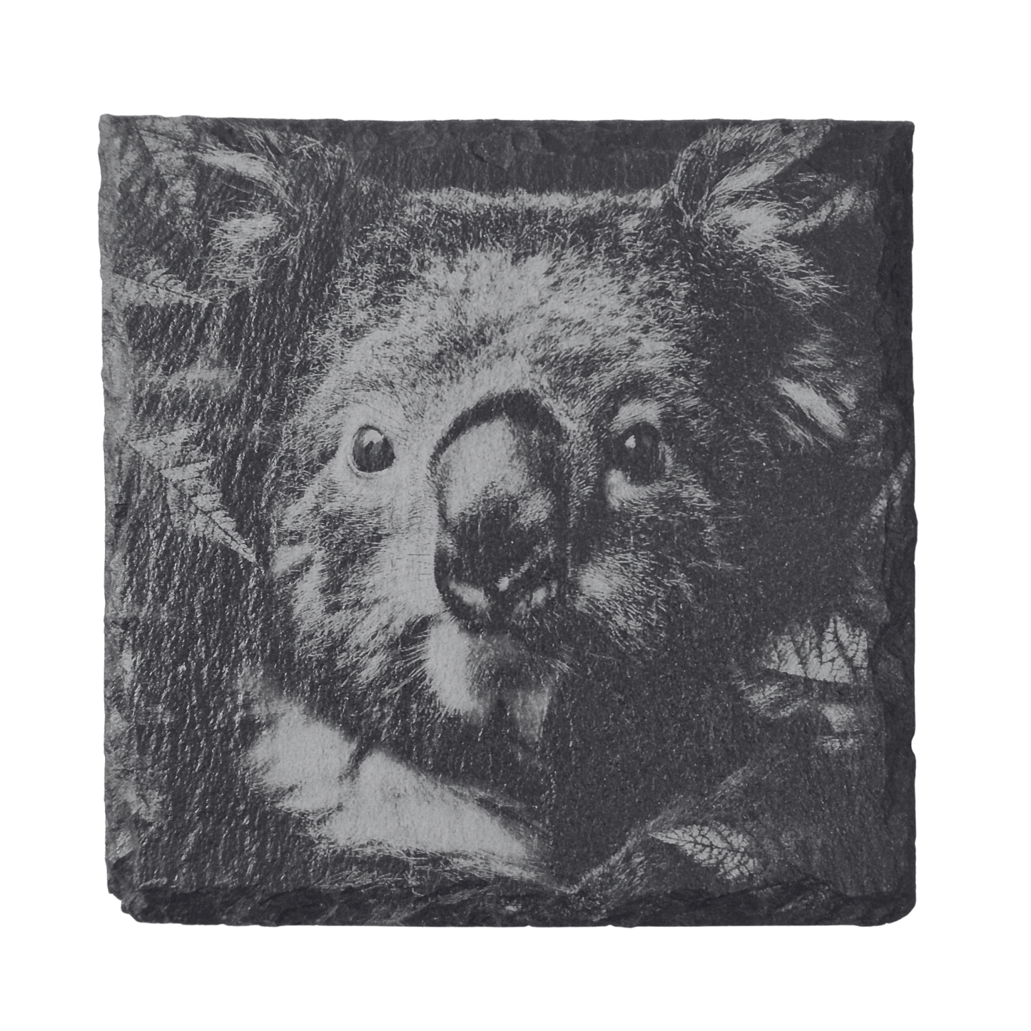 Australian Animal Coasters - Slate
