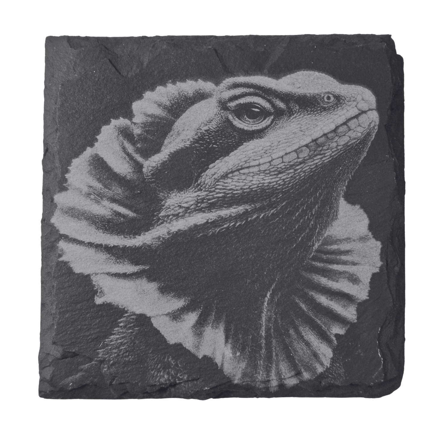 Australian Animal Coasters - Slate