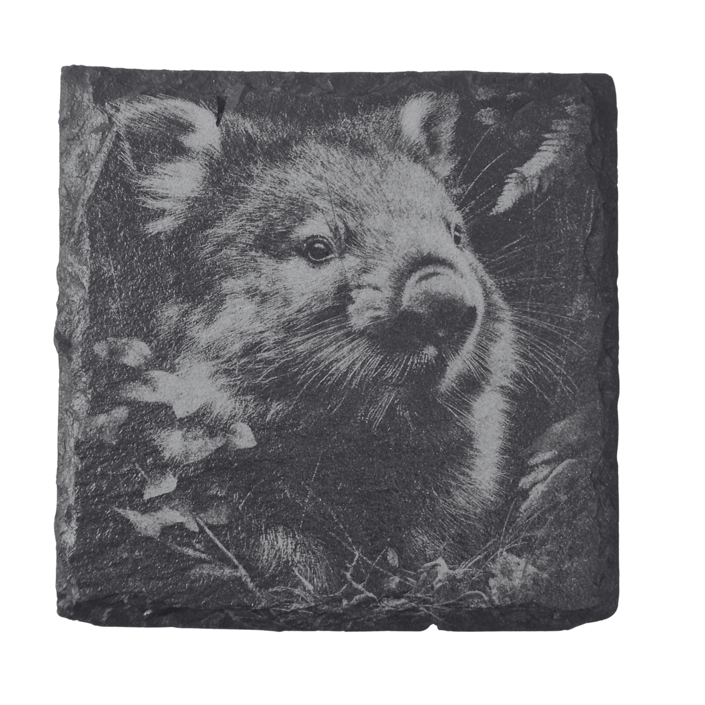 Australian Animal Coasters - Slate